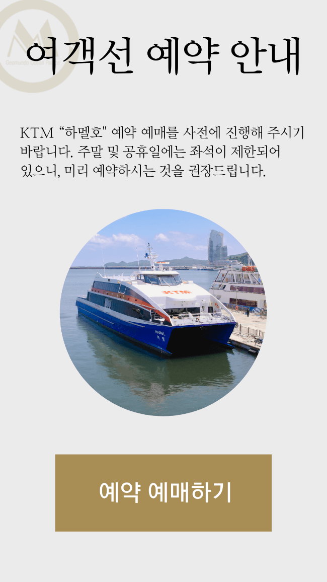 하멜호 여객선 안내